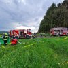 Waldbrandübung
